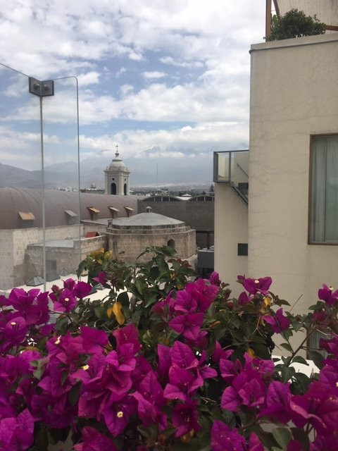 罗斯坦波斯酒店主图