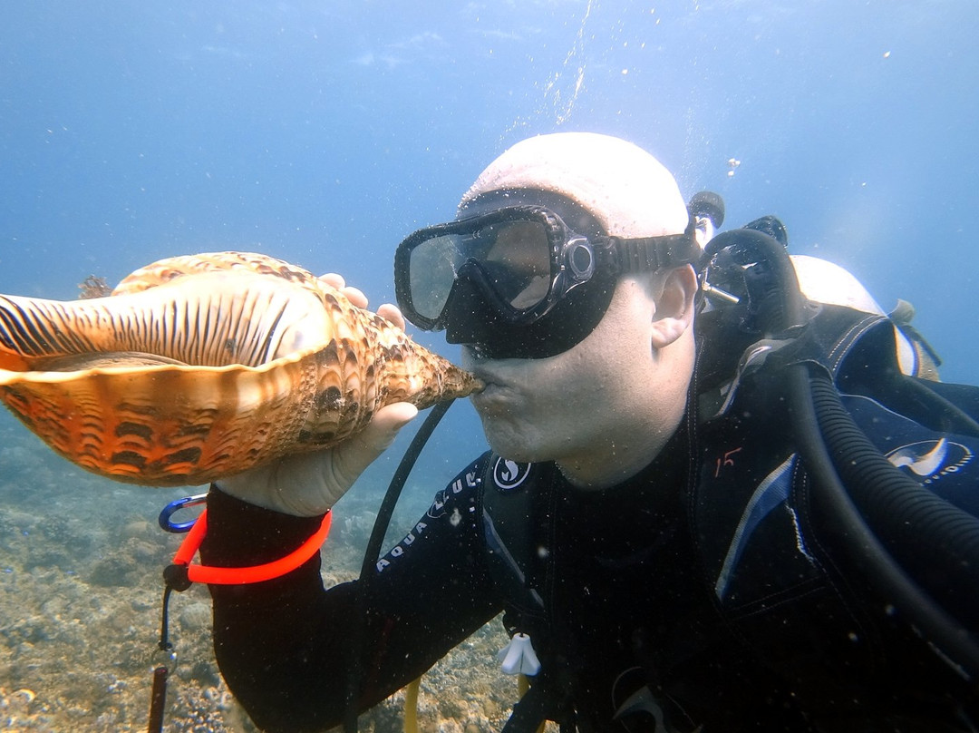 Divers Community Club-塔拉瓦环礁必去景点