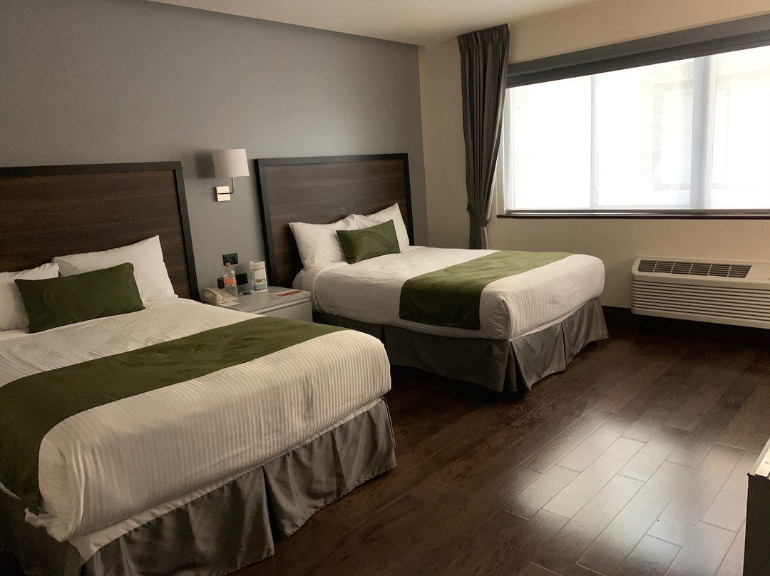 Quality Inn Chihuahua San Francisco主图
