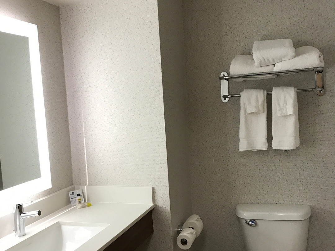 智选假日套房酒店-拉斯维加斯环城快道215主图