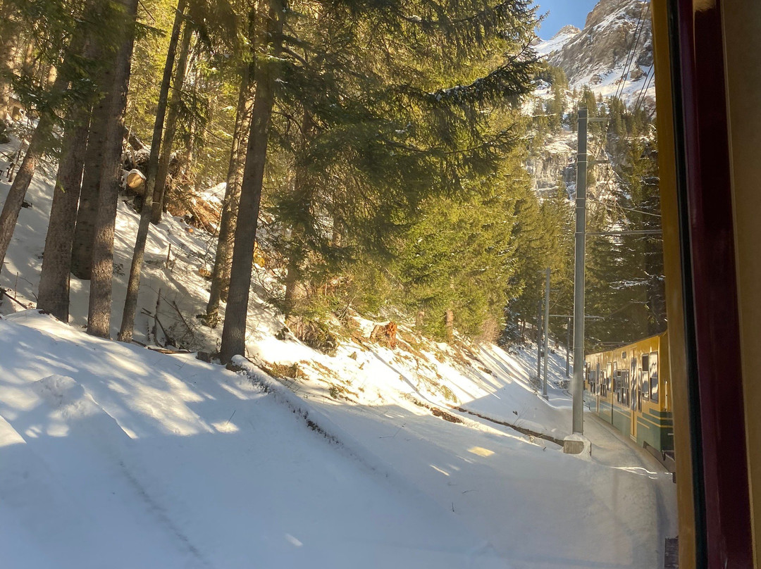 Top of Europe ICE MAGIC-因特拉肯必去景点