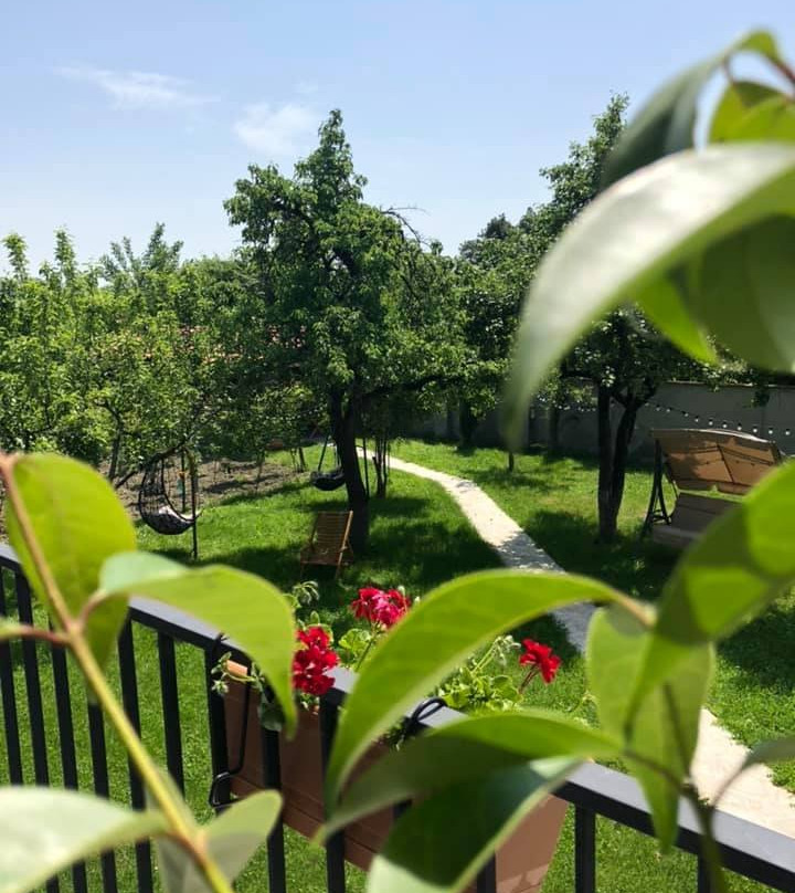 Vineyard Hotel & Winery主图