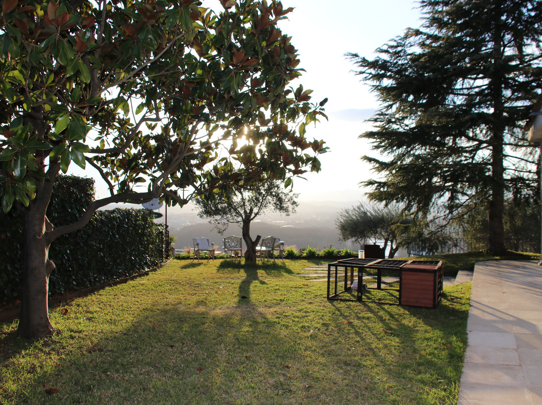 蒙锥克住宿加早餐旅馆主图