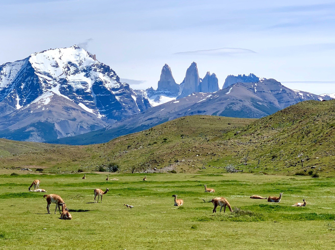 Laguna Azul-百内国家公园必去景点