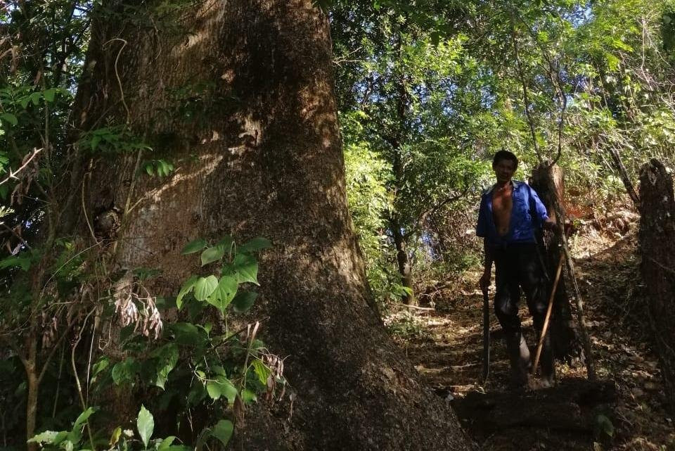 Nature walks in the Costa Rica Mountains景点图片