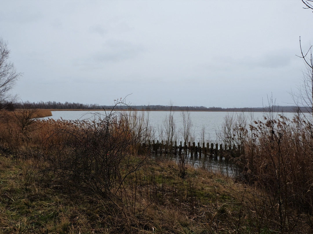 Europäisches Vogelreservat Heerter See-萨尔茨基特必去景点