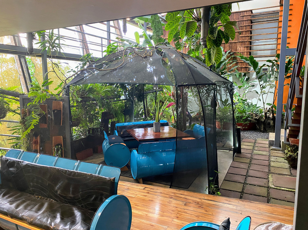 Celeste Mountain Lodge主图