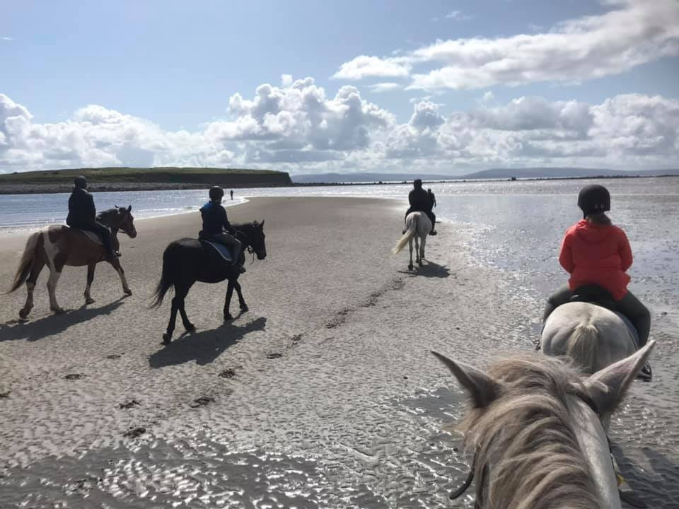 Moycullen Riding Centre-Moycullen必去景点