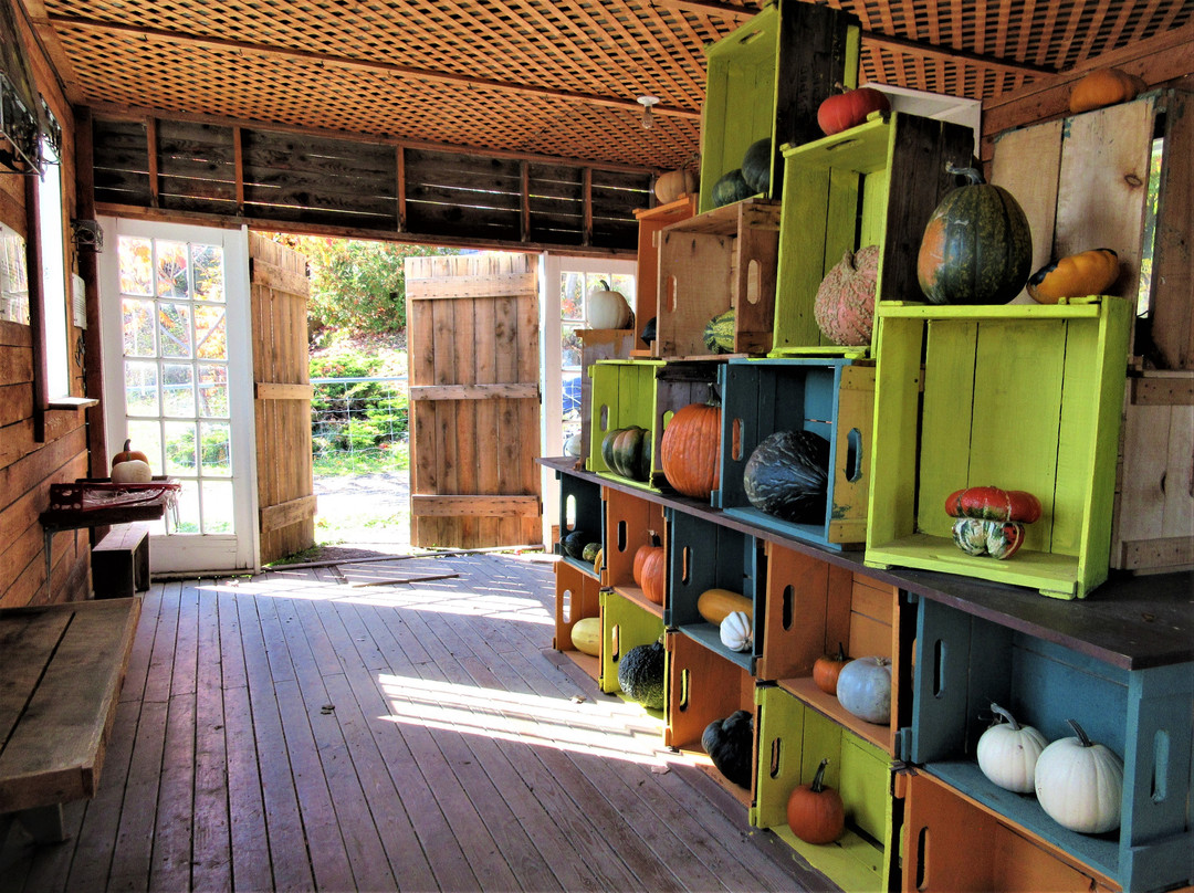 Centre d'Interpretation de la Courge du Quebec-Saint-Joseph-du-Lac必去景点