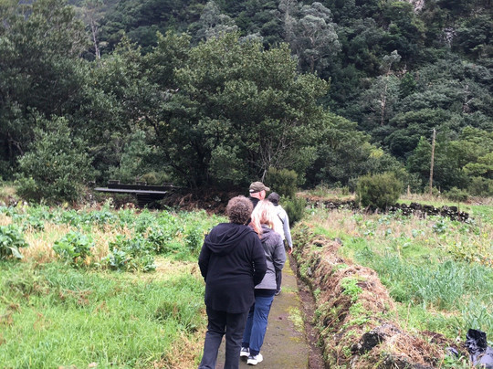Madeira Wind Birds-沙尔必去景点