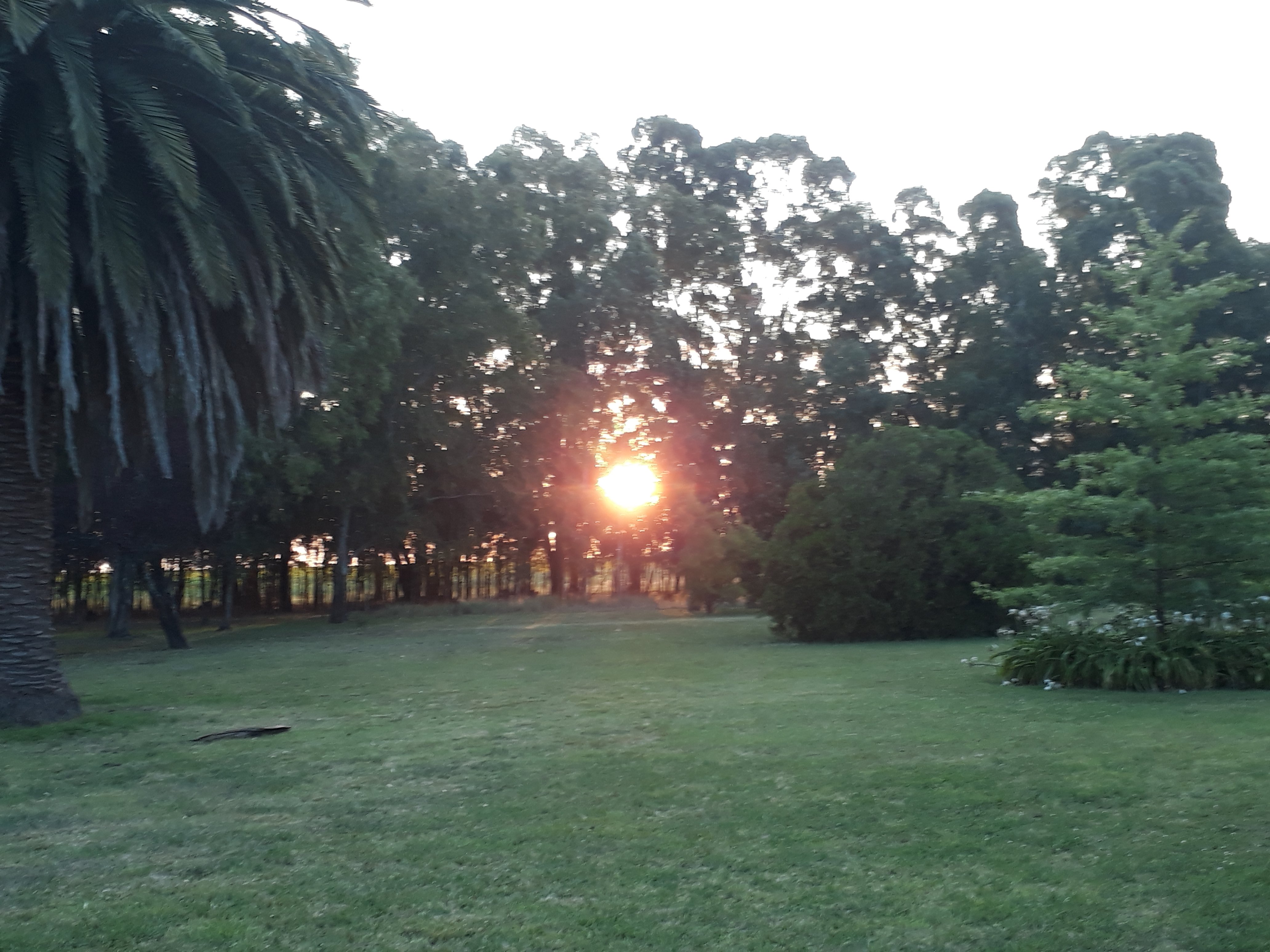 La Irene Casa de Campo-家庭/游戏区