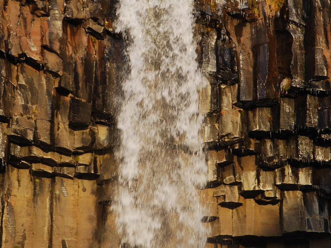 Svartifoss Waterfall景点图片