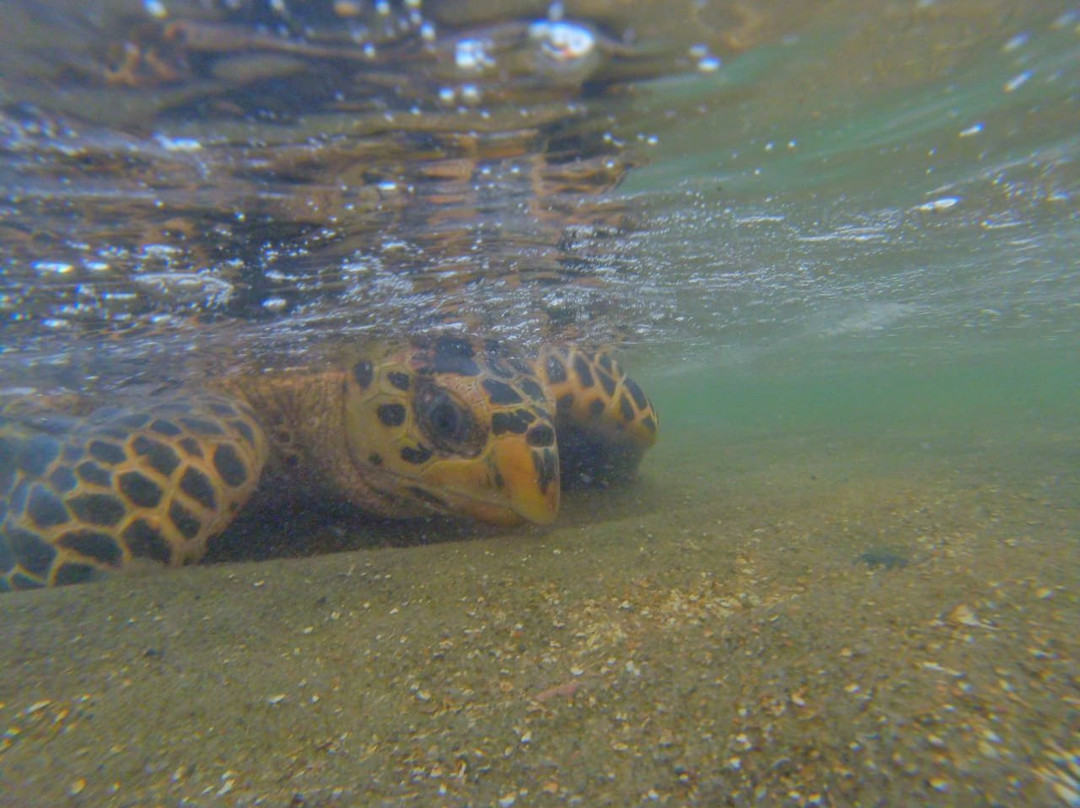 Pousada Samba Pa Ti主图