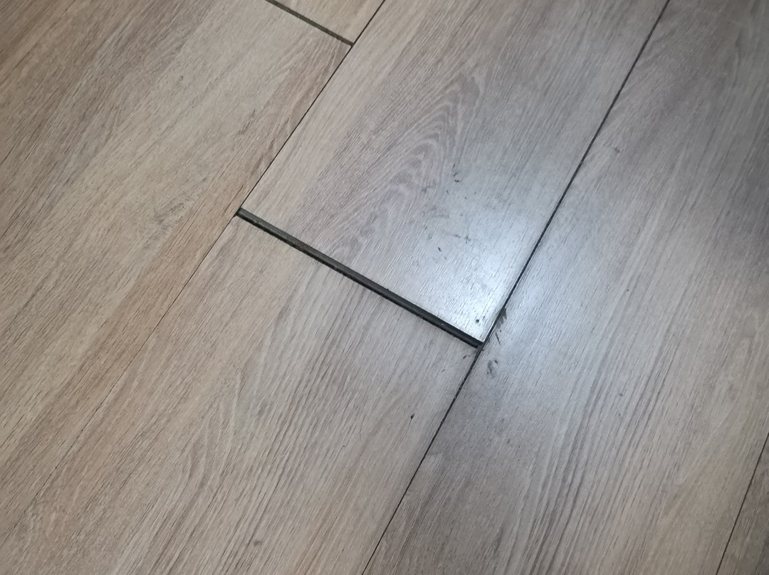 扎里纳旅馆主图