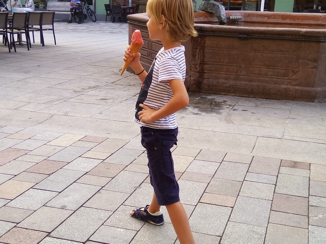 Offenburger Wochenmarkt-奥芬堡必去景点