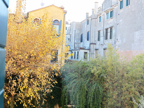 Oltre Il Giardino主图