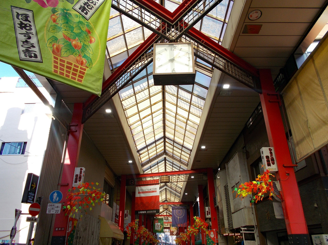 Asakusa Hisagodori Shotengai景点图片