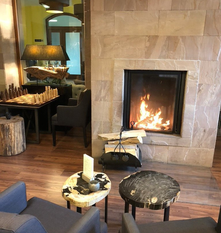Wellness & Spa Hotel Augustiniansky dum主图