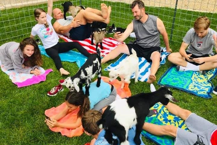 Baby Goat Yoga of Cape Cod景点图片