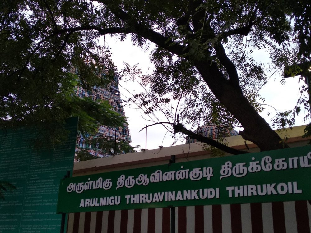 Thiru Avinankudi Temple景点图片