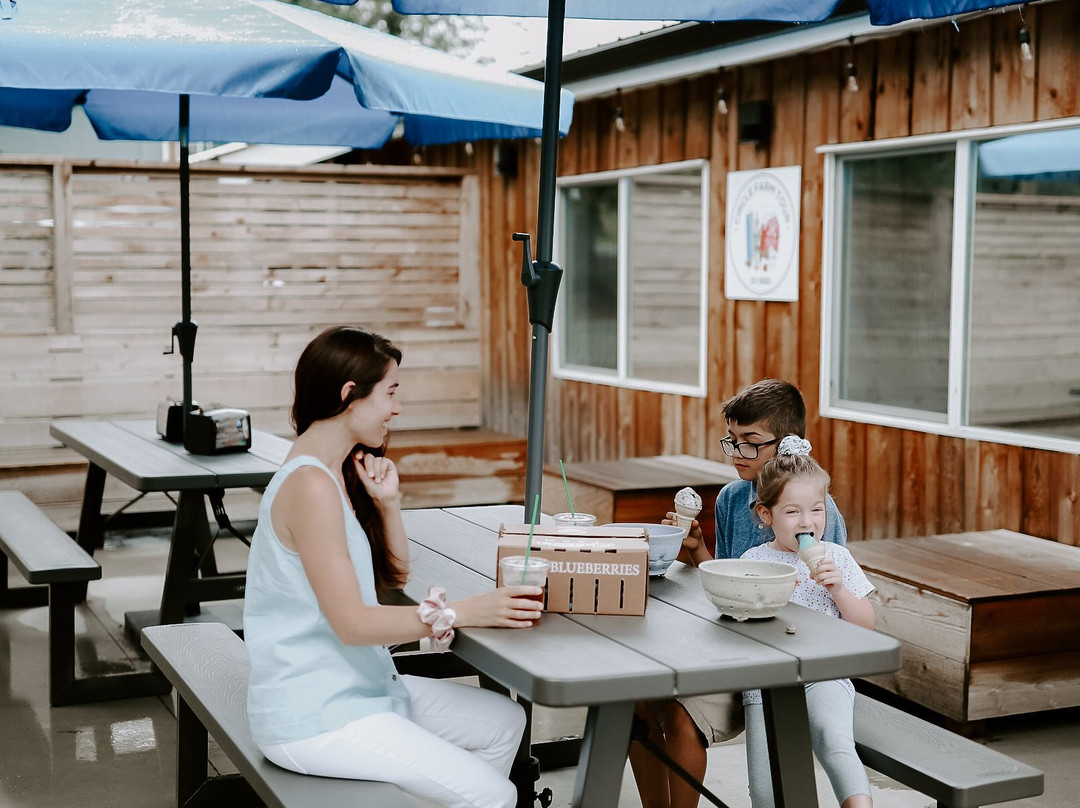 Klaassen Farms-奇利瓦克必去景点