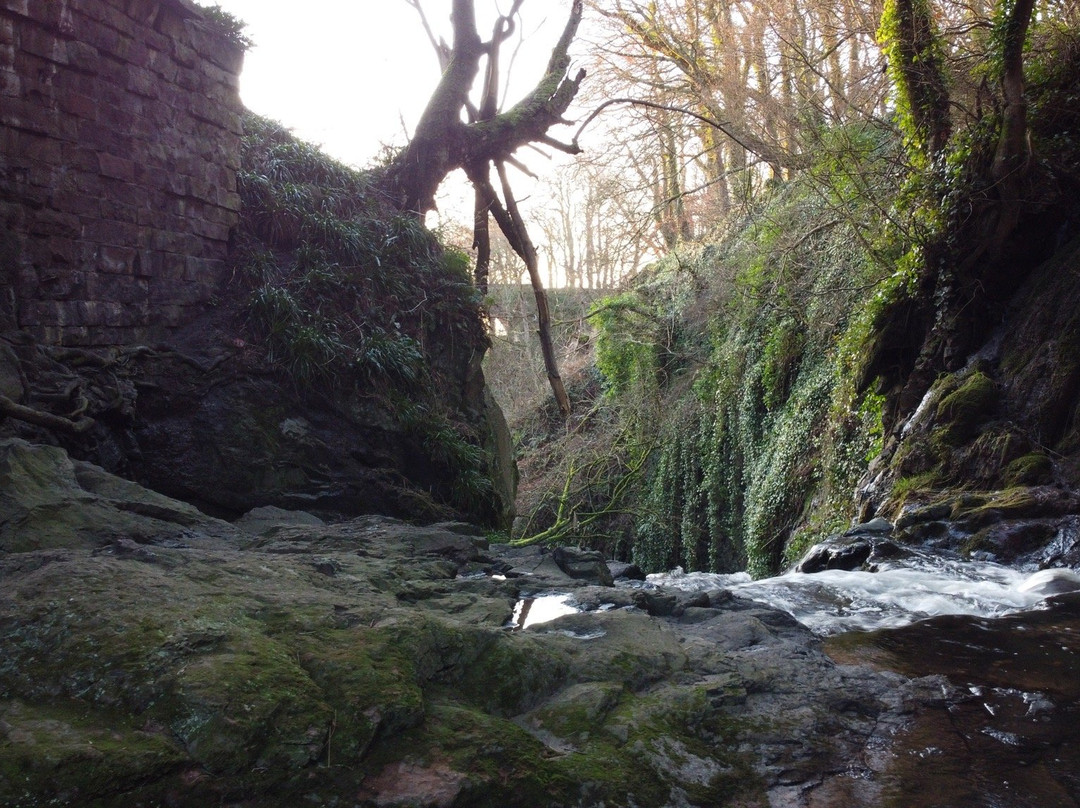 Den Finella Waterfall景点图片