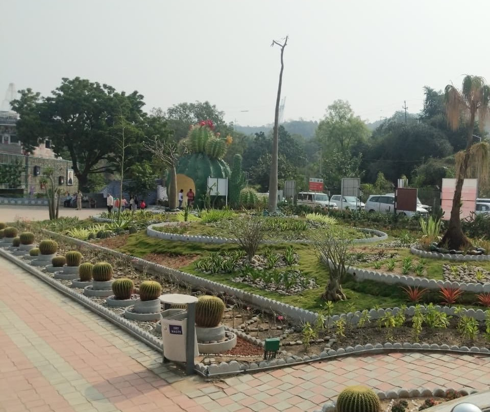 Cactus Garden-Kevadia必去景点