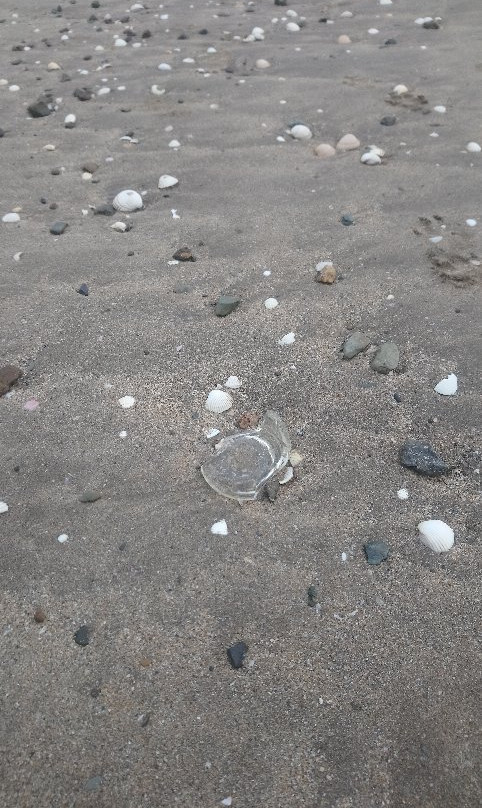 Duncannon Beach景点图片