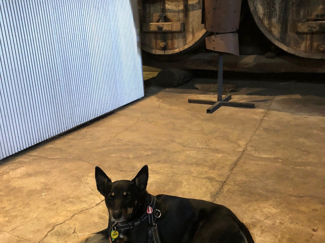 Black Dog Brewery景点图片