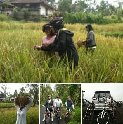 Bali Nature Trek (ketut Sudiantara)景点图片