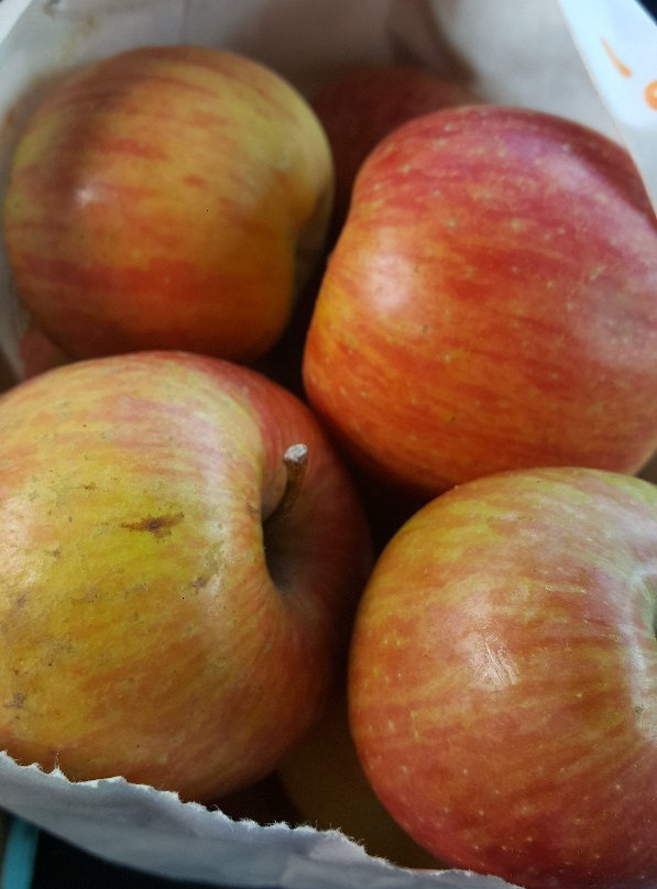 Moms Country Orchards-Oak Glen必去景点