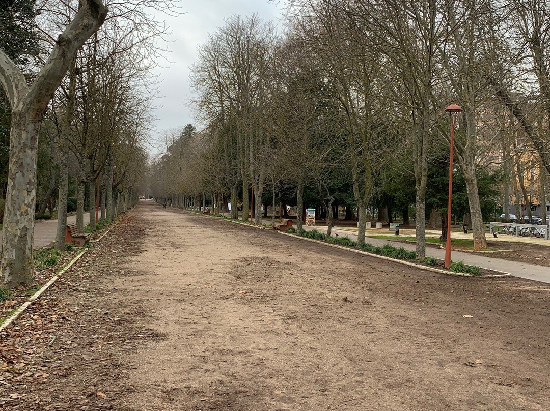 Parque de la Isla景点图片