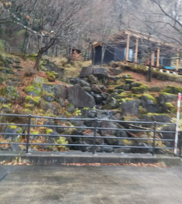 Tree Picnic Adventure Ikeda-池田町必去景点