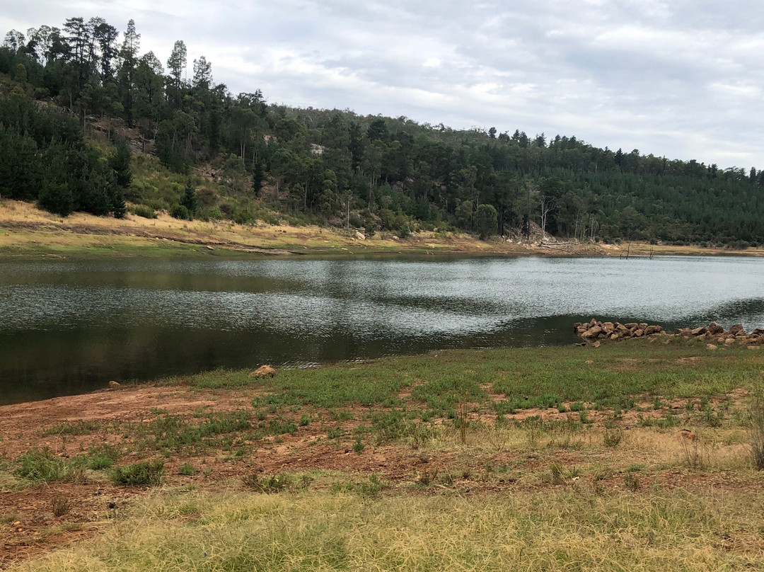 Harvey Dam and Amphitheatre景点图片