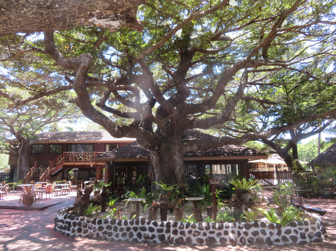 阔布尼酒店主图