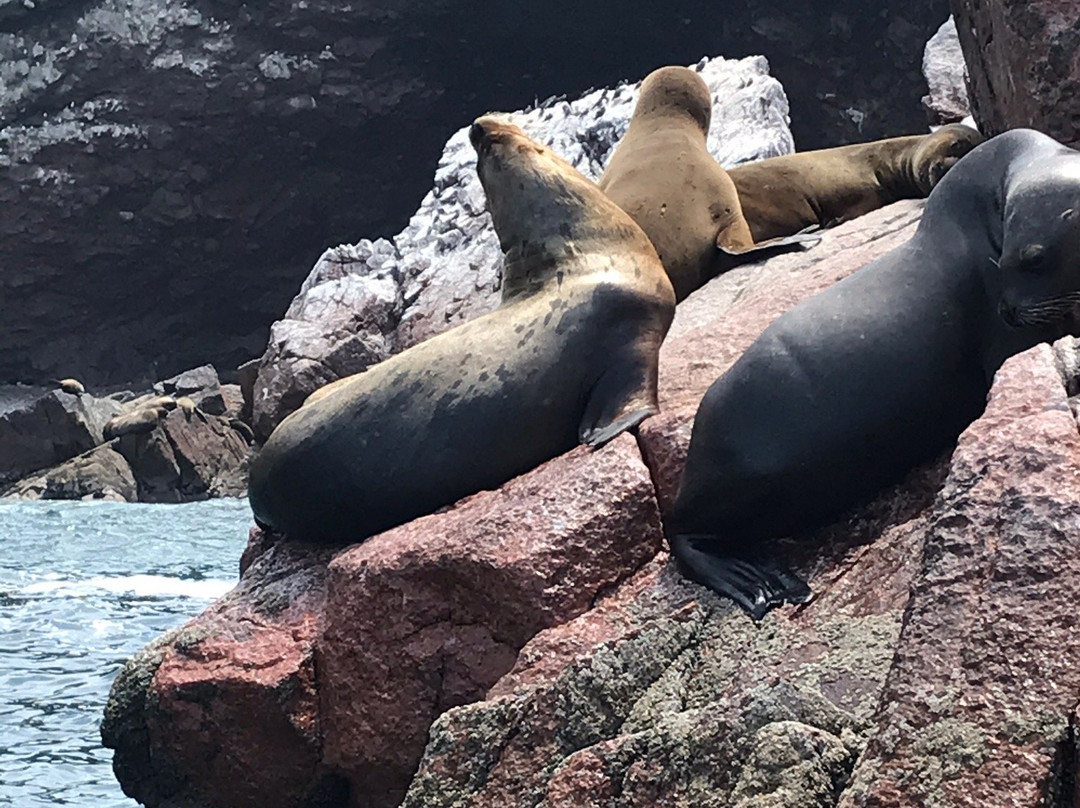 The Boulevarde-帕拉卡斯必去景点