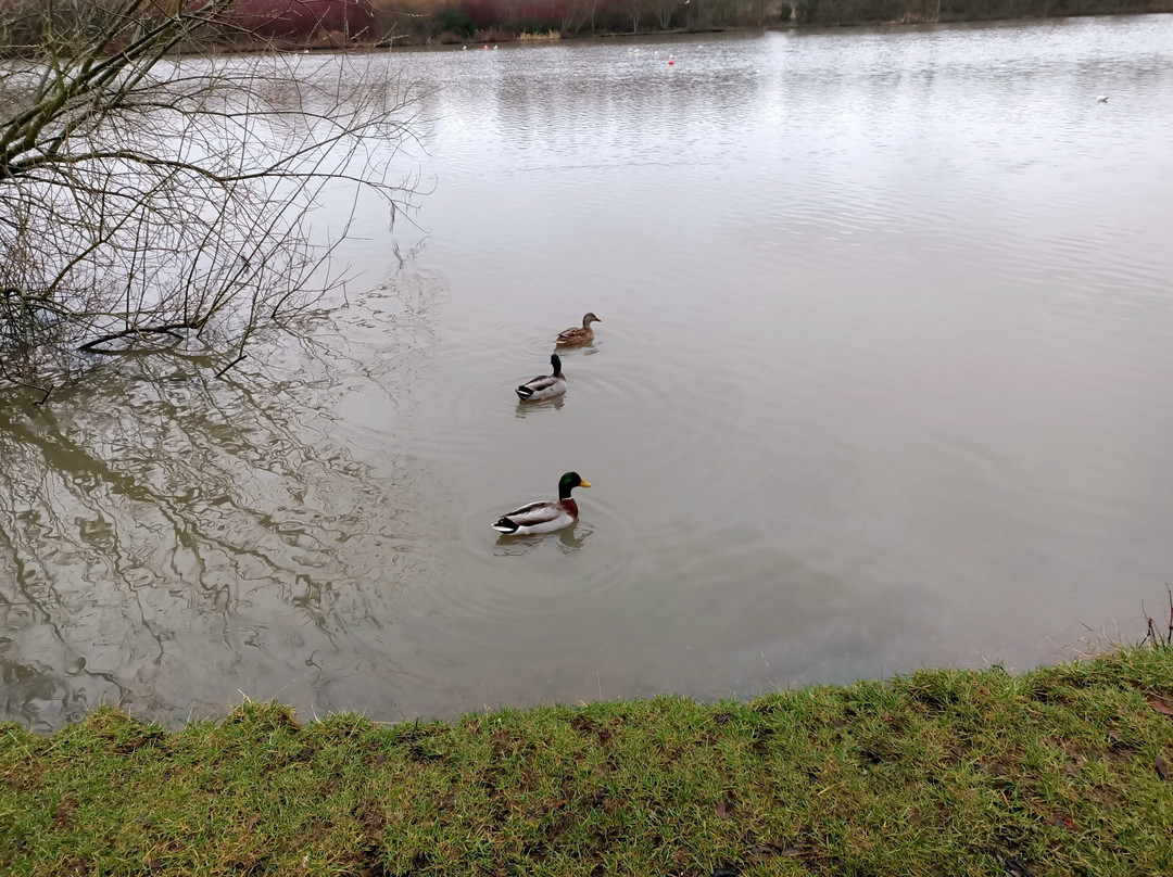 Townhill Country Park-丹弗姆林必去景点