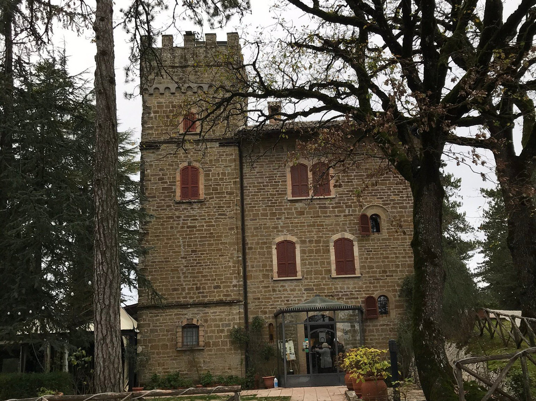 Castello Cortevecchio主图