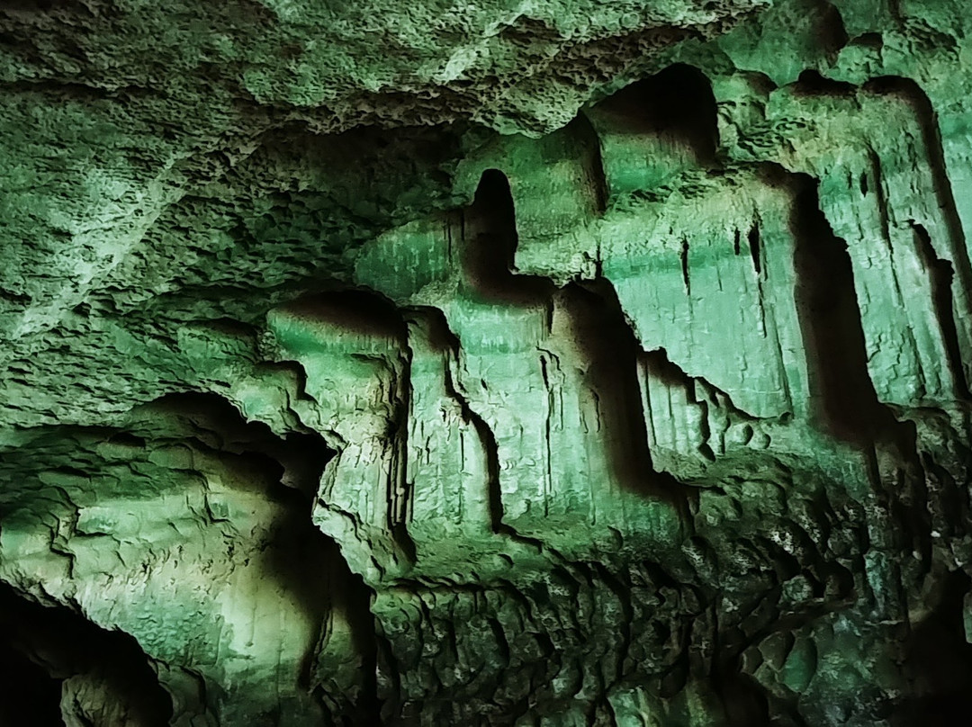 Niah Caves景点图片