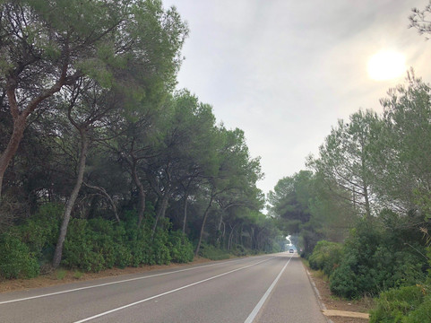 Doyoubike Rental-巴伦西亚必去景点