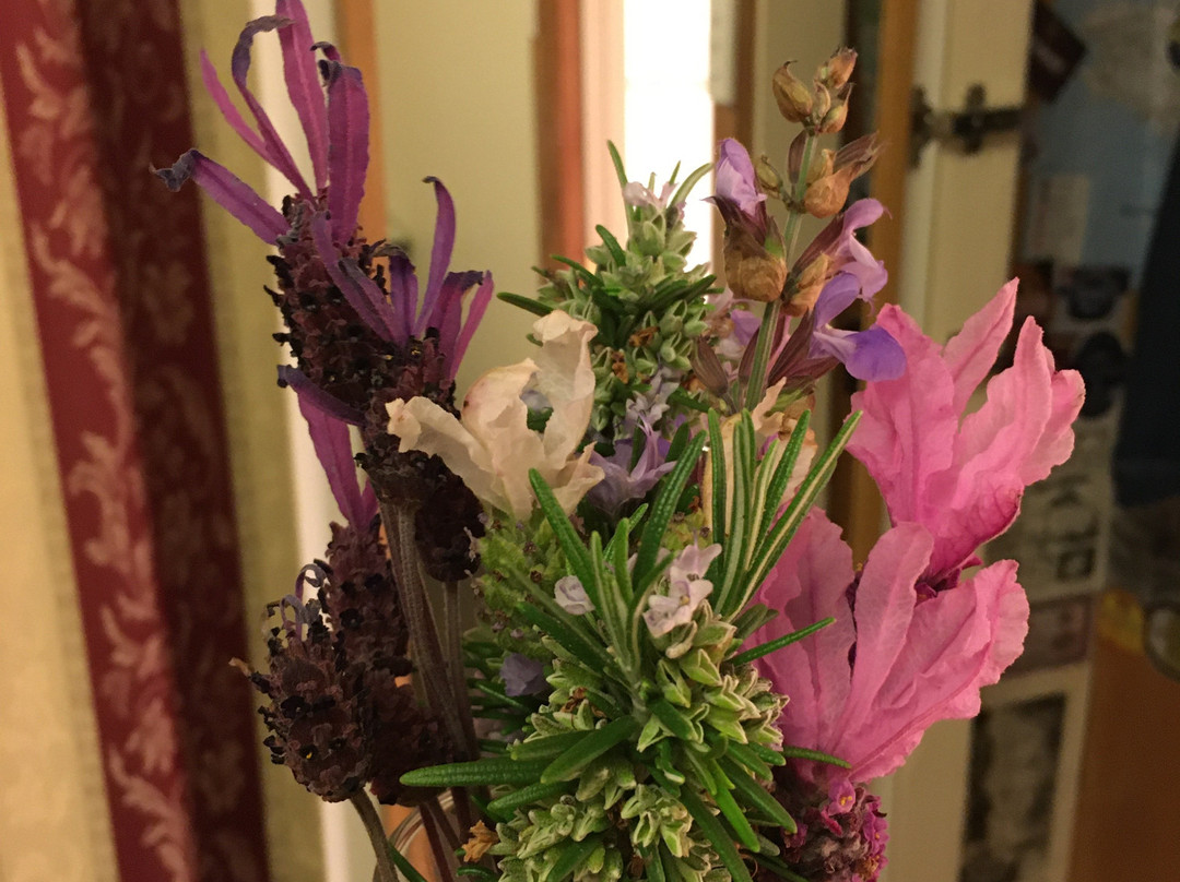 Ashdowns of Dover Boutique B&B主图