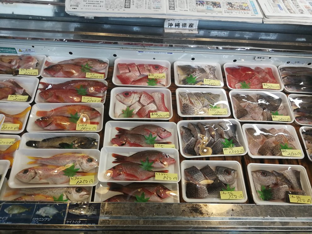 冲绳儿童王国-冲绳市必去景点