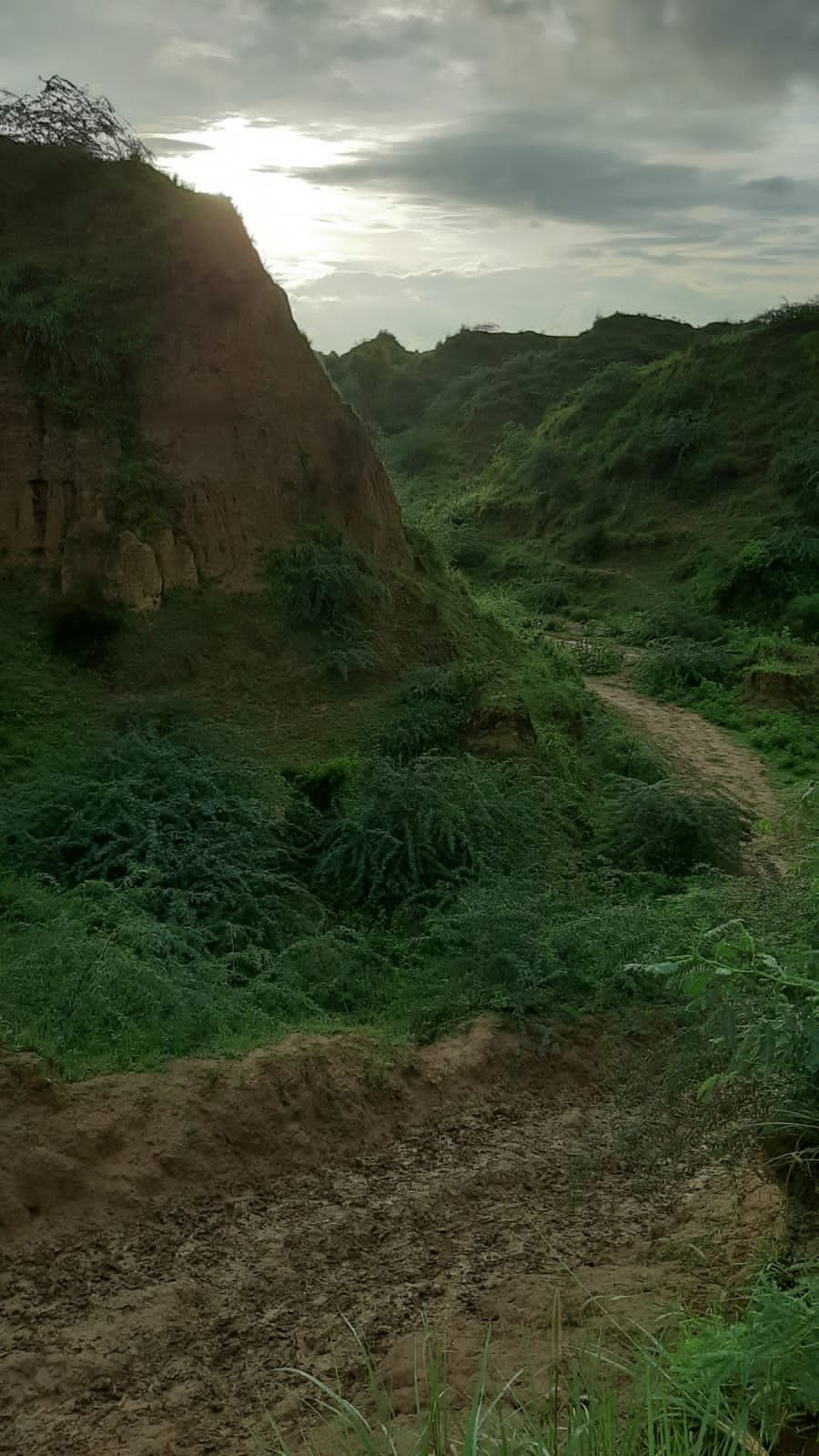 Chambal Wildlife Safari Lodge-portrait