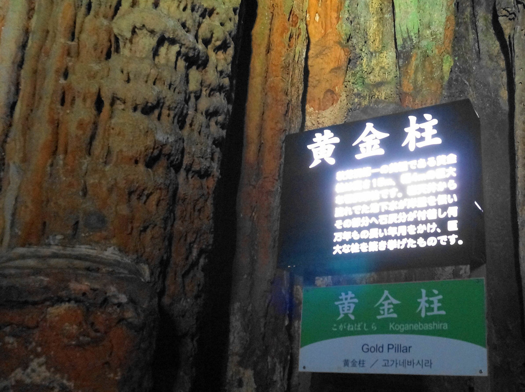 Akiyoshi Cave Golden Pillars-美祢市必去景点