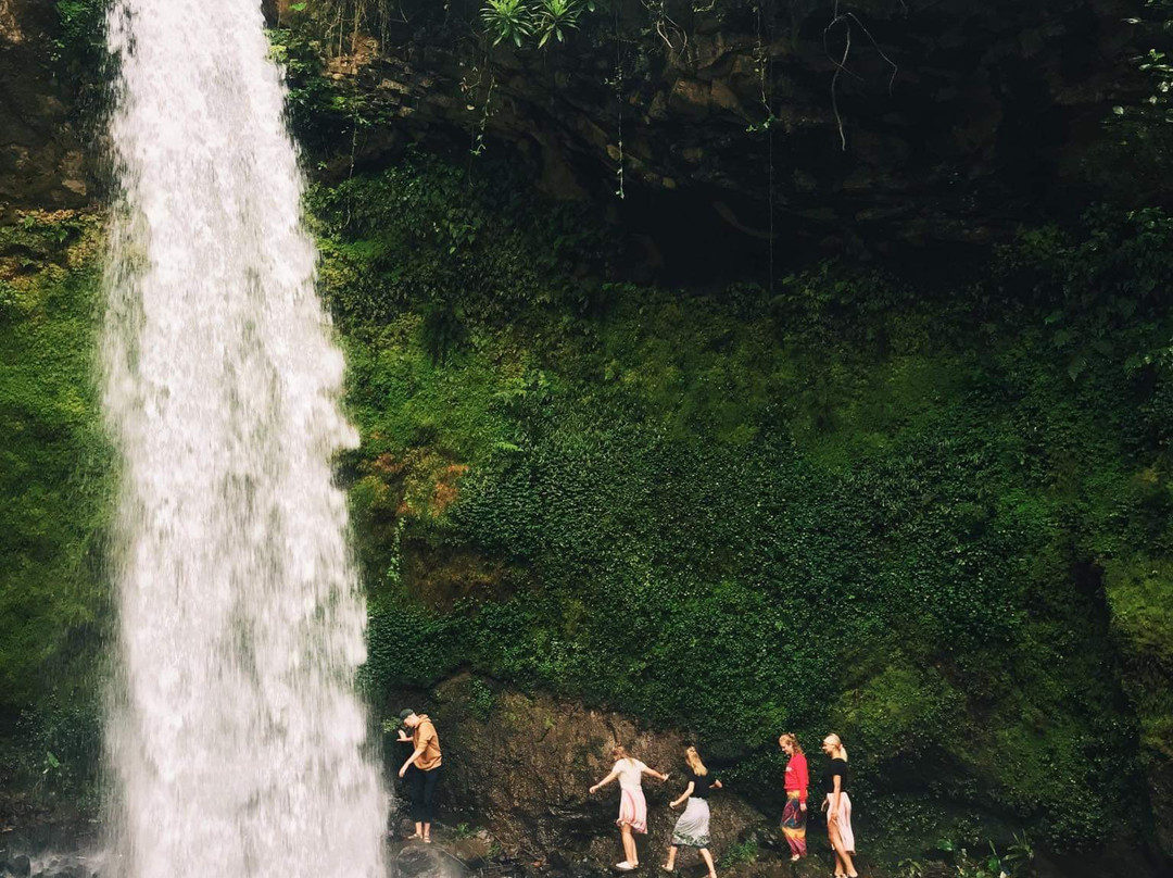 Tai Adventures and Safaris-阿鲁沙必去景点