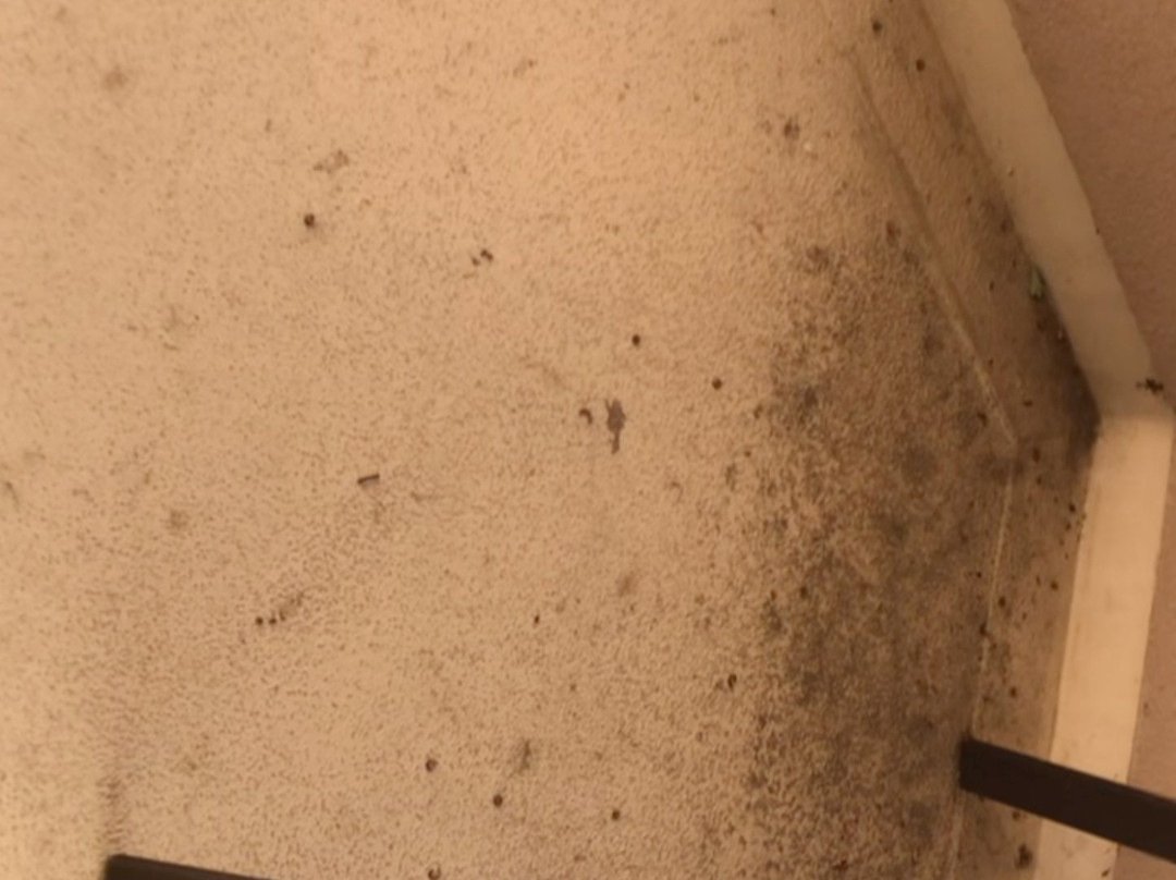 The House on the Rock Resort主图