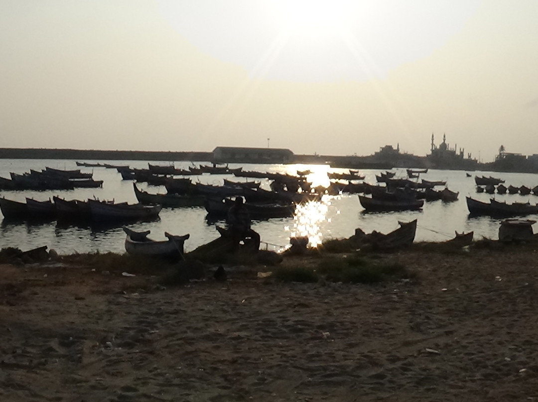 Kovalam Fish Market景点图片