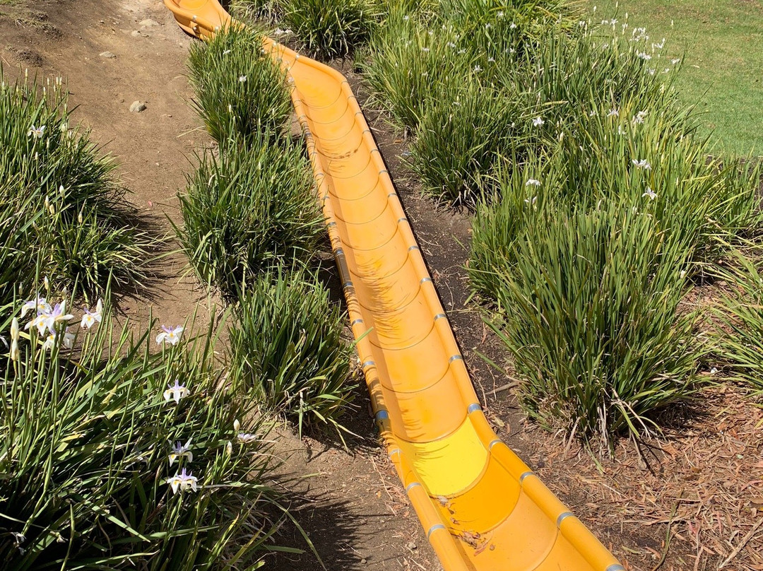 Train Park-霍巴特必去景点