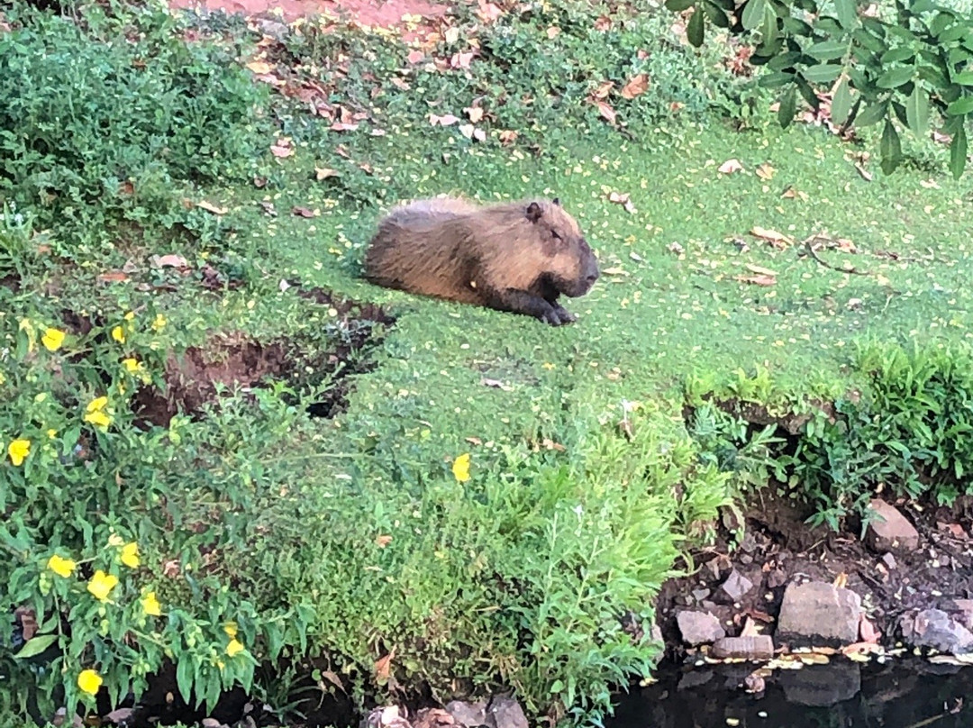 Parque da Represa Municipal-普雷图河畔圣若泽必去景点