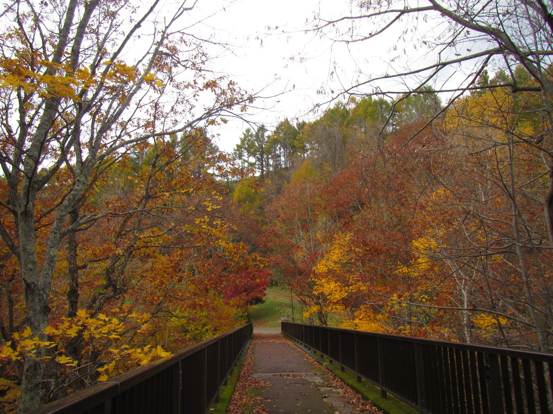 Yacho Bridge-上砂川町必去景点